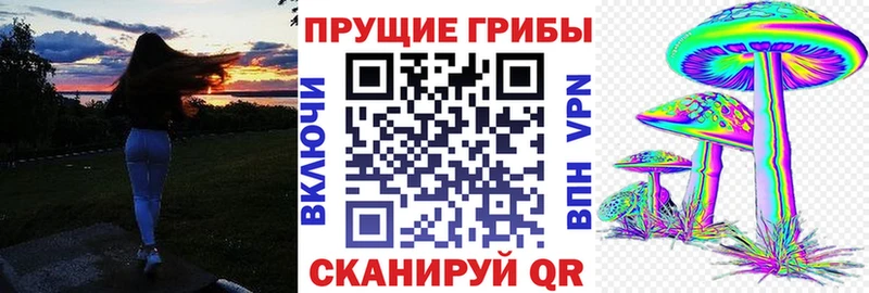Галлюциногенные грибы Psilocybine cubensis  ОМГ ОМГ ссылки  Сочи 